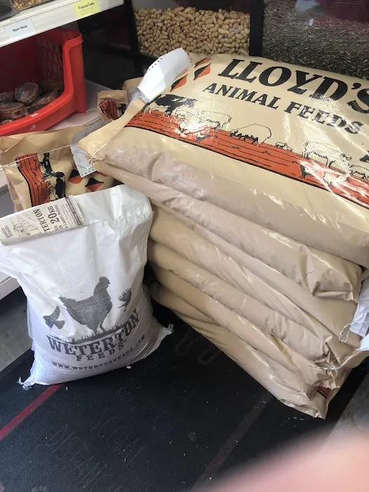 2 by 2 Pet Store Picture 8