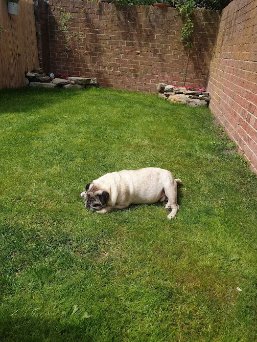 Sore Paws Veterinary Clinic Picture 7