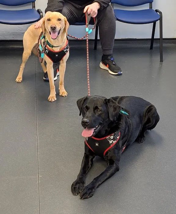 Sore Paws Veterinary Clinic Picture 2