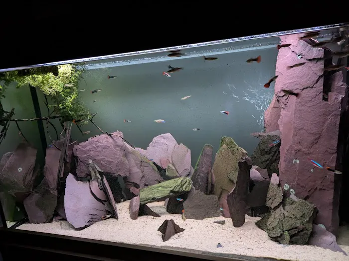 Chilton Aquatics Picture 9