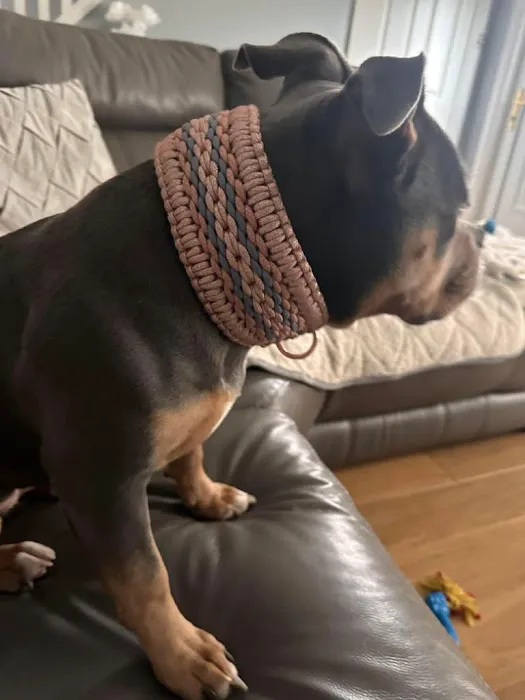 Zig And Zag Handmade Picture 4