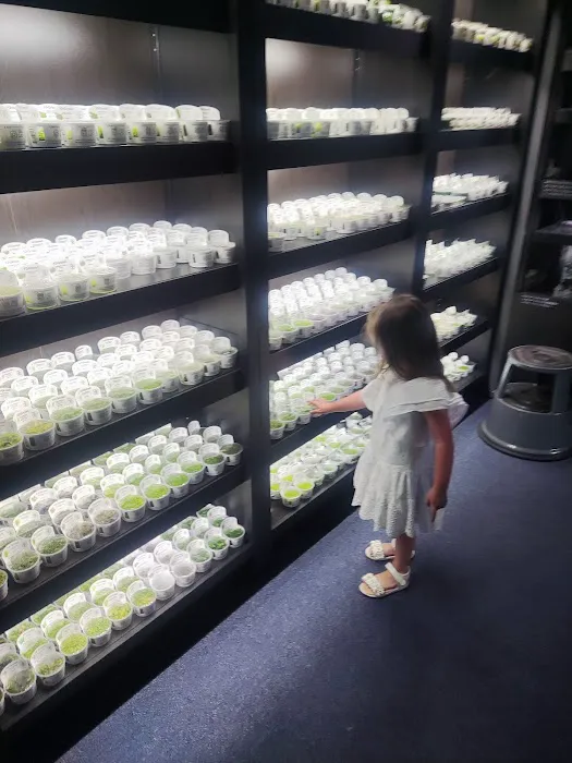 Horizon Aquatics Picture 5