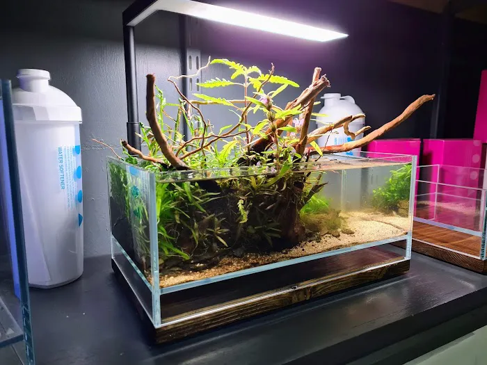 Horizon Aquatics Picture 10