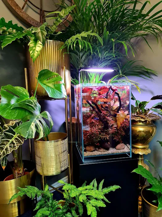 Horizon Aquatics Picture 4