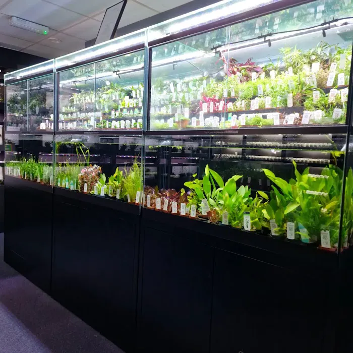 Horizon Aquatics Picture 2