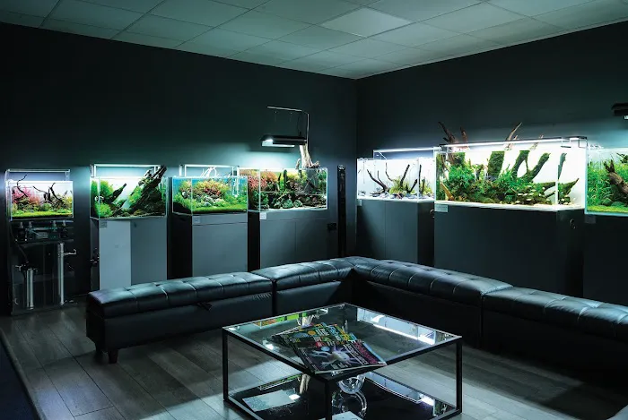 Horizon Aquatics Picture 7