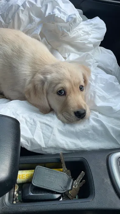 Durham Animal Feeds Picture 8