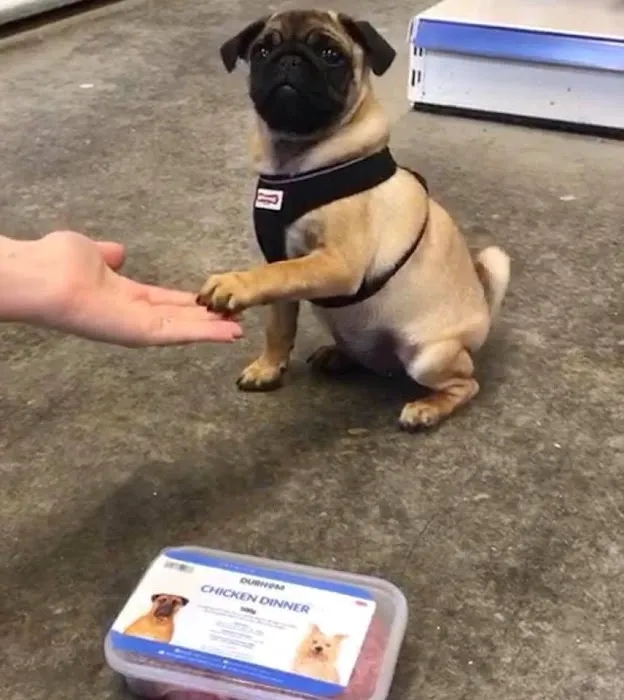 Durham Animal Feeds Picture 5