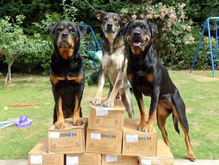 Durham Animal Feeds Picture 6