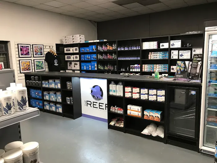 The Reef Experience Picture 6