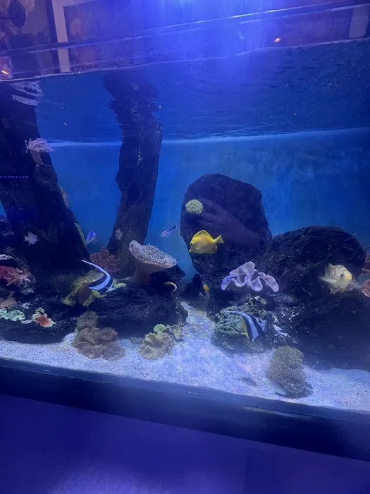 The Reef Experience Picture 5