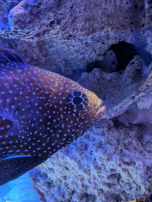 The Reef Experience Picture 8