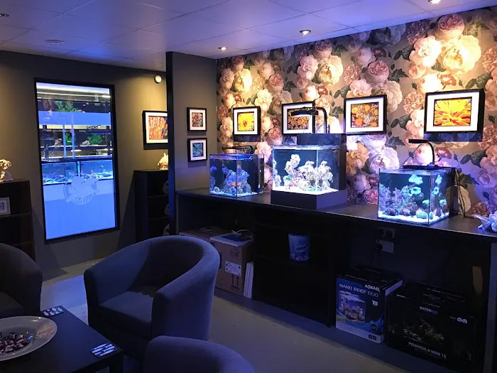 The Reef Experience Picture 1