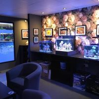 The Reef Experience ico