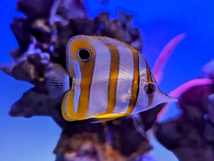 The Reef Experience Picture 4