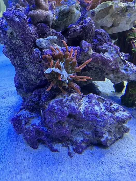 The Reef Experience Picture 10