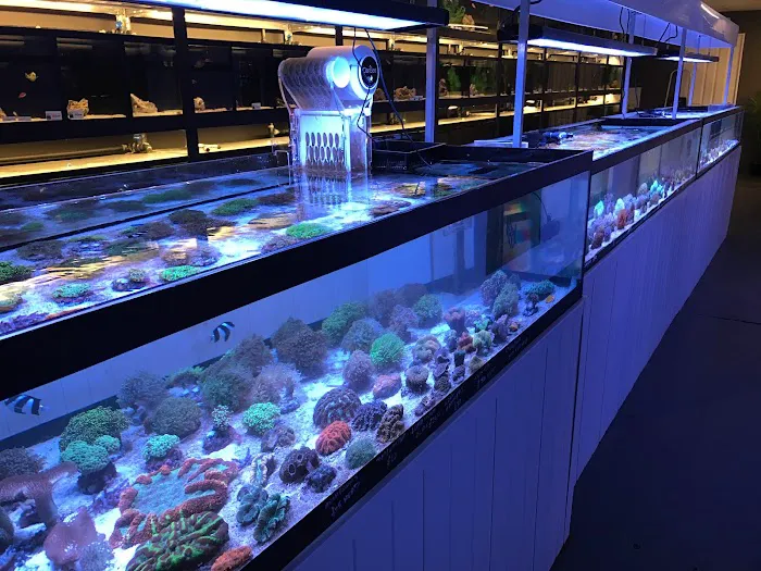 The Reef Experience Picture 3