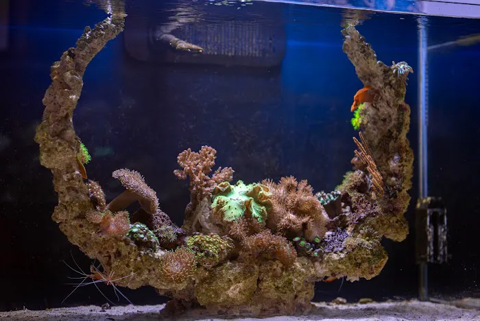 The Reef Experience Picture 9