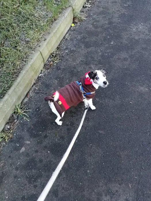 Pets at Home Durham Picture 8