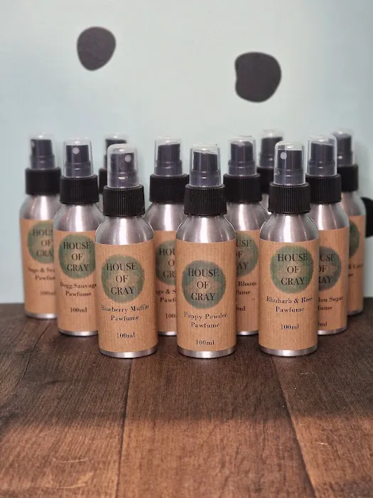 House Of Tails UK Picture 9