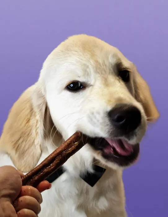 House Of Tails UK Picture 2