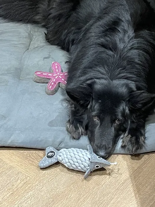 House Of Tails UK Picture 7