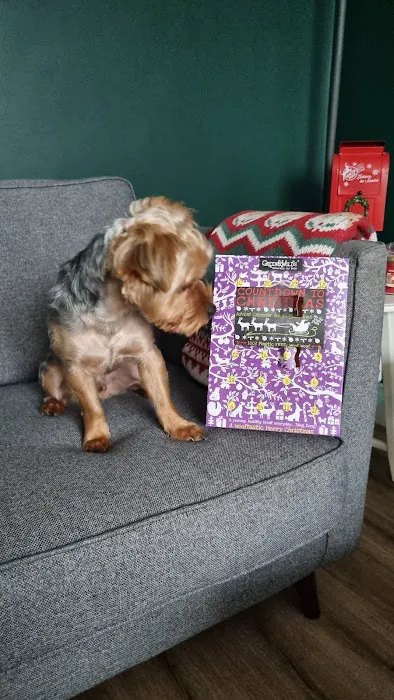 House Of Tails UK Picture 1