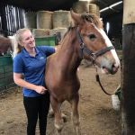 Durham Equine Practice