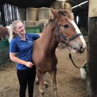 Durham Equine Practice ico