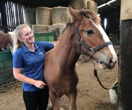 Durham Equine Practice
