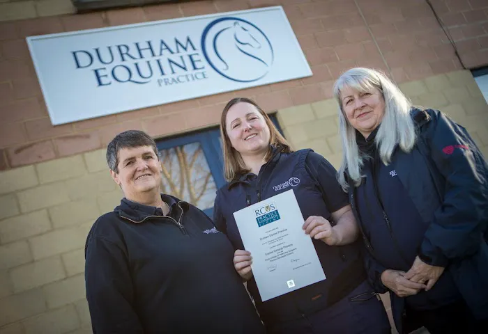 Durham Equine Practice Picture 2
