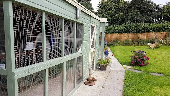 Aristocats & Allsorts Luxury Cat Hotel Picture 2