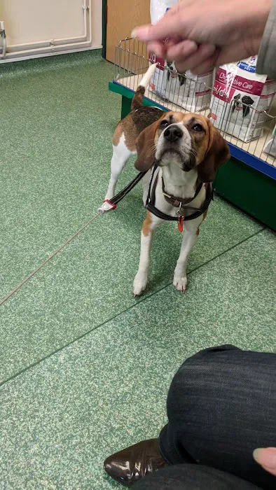 Gilmoor Vets, Durham Picture 3