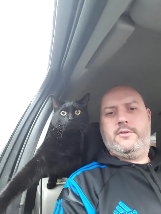 Rainton Gate Luxury Cats' Hotel Picture 1