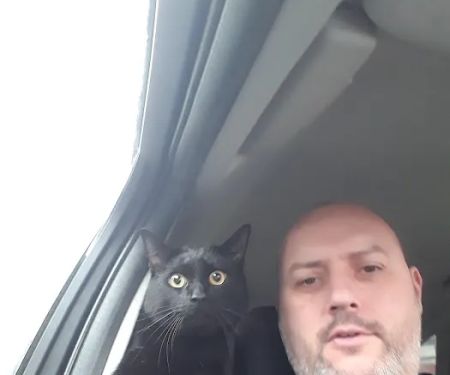 Rainton Gate Luxury Cats' Hotel