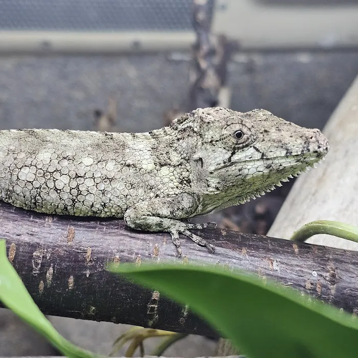 Coast To Coast Exotics Picture 6