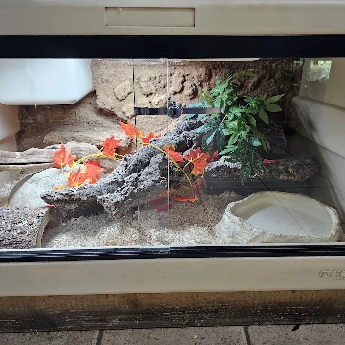 Coast To Coast Exotics Picture 7