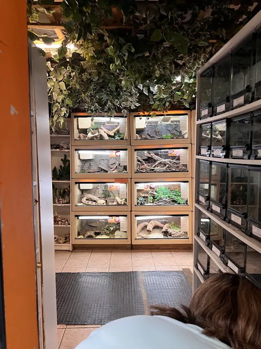 Coast To Coast Exotics Picture 3