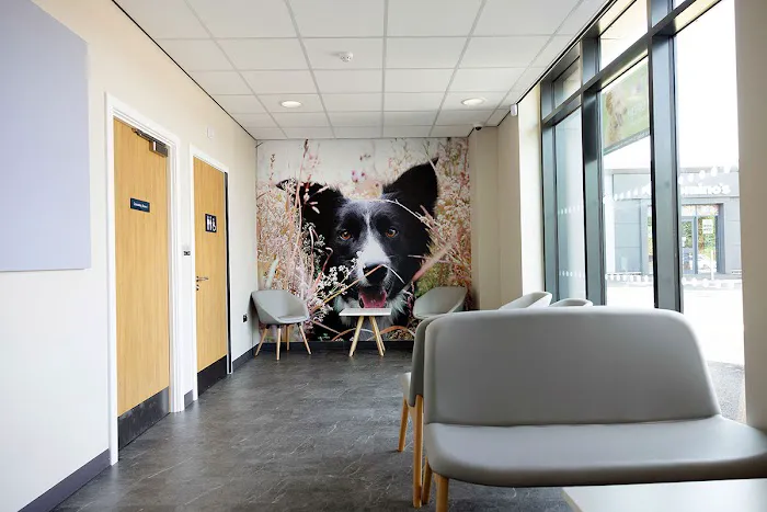 White Oak Vets - Peterlee Picture 4