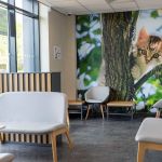 White Oak Vets - Peterlee