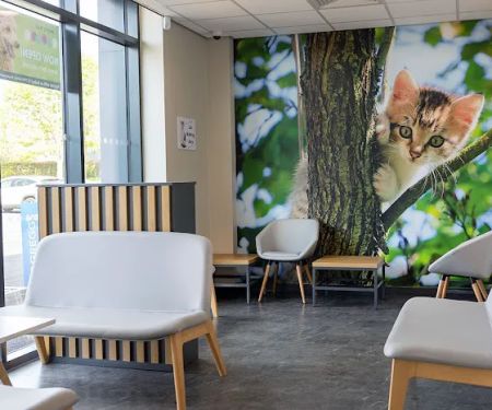 White Oak Vets - Peterlee