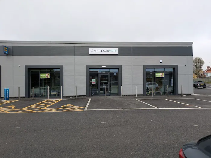 White Oak Vets - Peterlee Picture 7