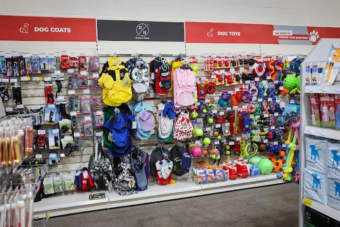 Jollyes - The Pet People Darlington Picture 2