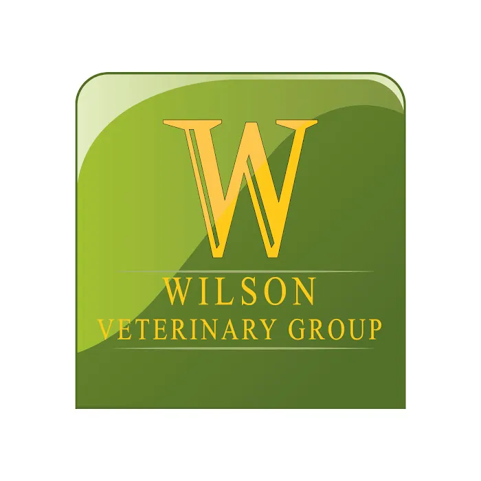 Wilson Veterinary Group, Newton Aycliffe Picture 4
