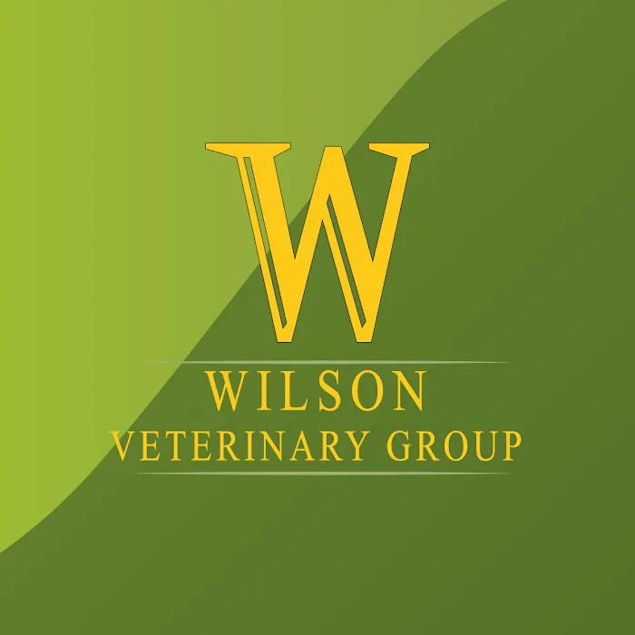 Wilson Veterinary Group, Newton Aycliffe Picture 5
