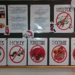 Wilson Veterinary Group, Newton Aycliffe