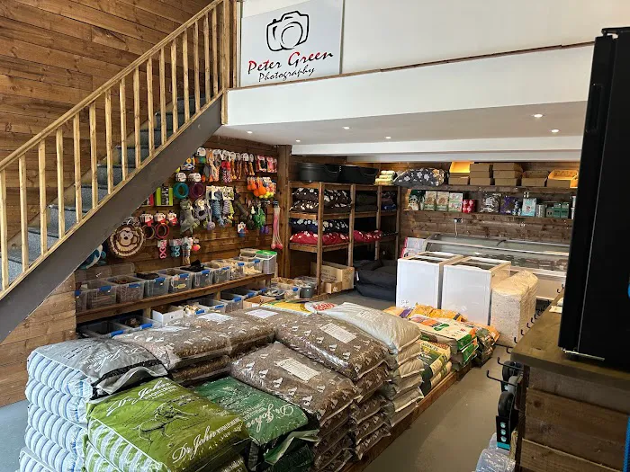 K9 Kennels Ltd Picture 2