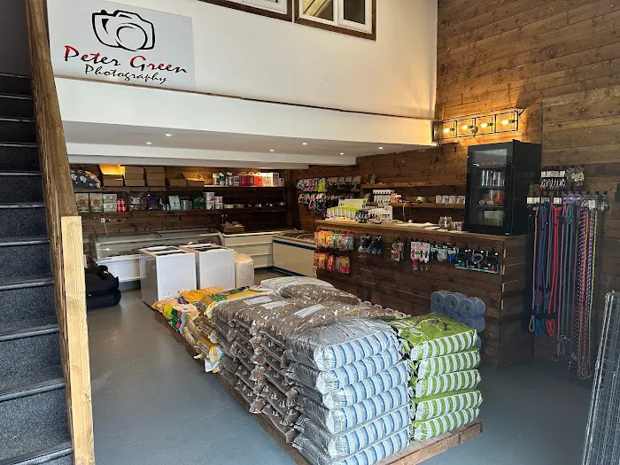 K9 Kennels Ltd Picture 1