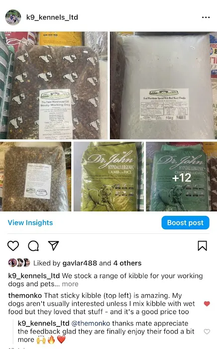 K9 Kennels Ltd Picture 6