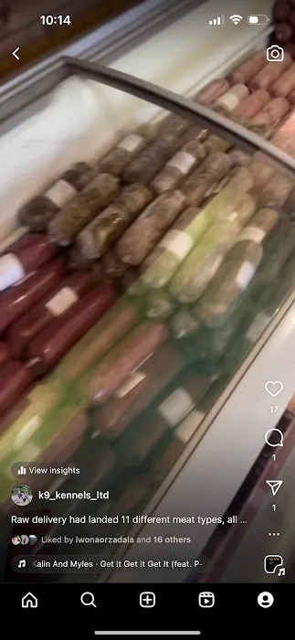 K9 Kennels Ltd Picture 7